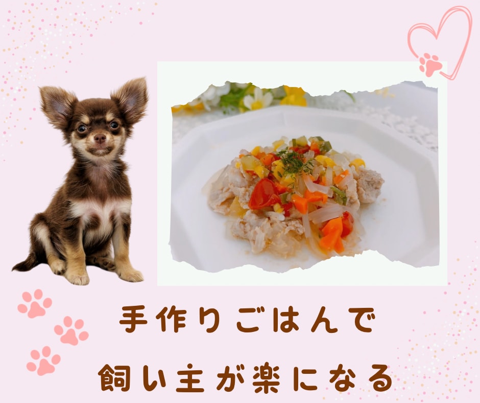 愛犬の声を聞いた手作りごはんをお伝えします 手作り初心者さんでも簡単にできる栄養満点レシピ イメージ1