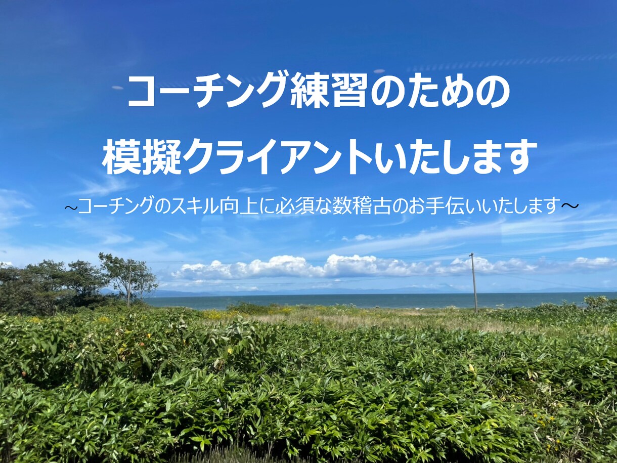 コーチング練習のための模擬クライアントいたします コーチングのスキル向上に必須な数稽古のお手伝いいたします イメージ1