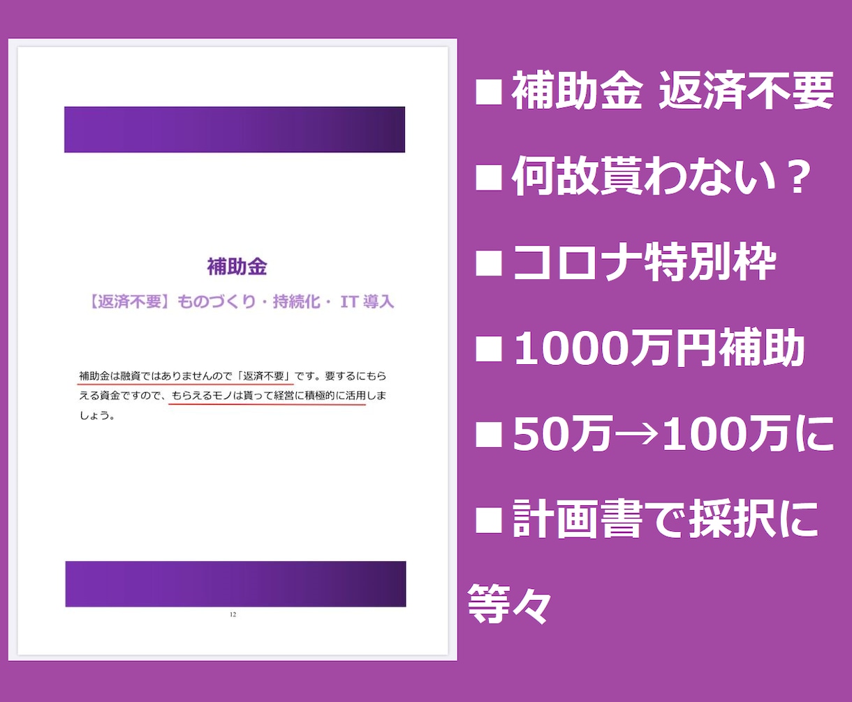 新型コロナウイルス関連の制度解説＆サポートします 異次元レベル！融資・持続化給付金・補助金・助成金が凄いことに イメージ8