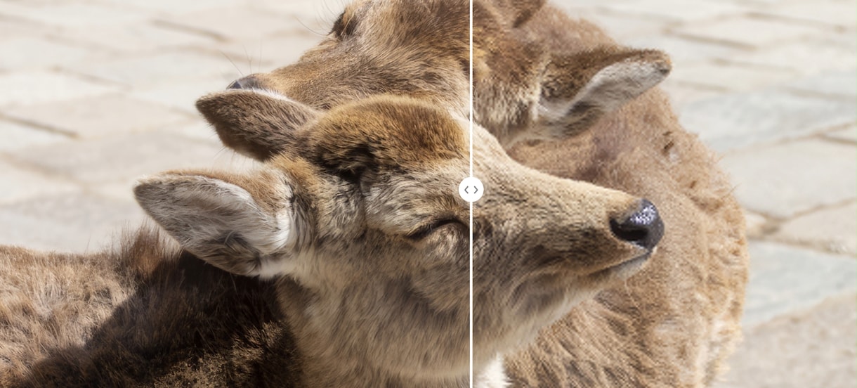 AIで写真プロのクオリティに鮮明化します 「その写真、諦めないで。AIが最高の1枚に変えます。 イメージ2