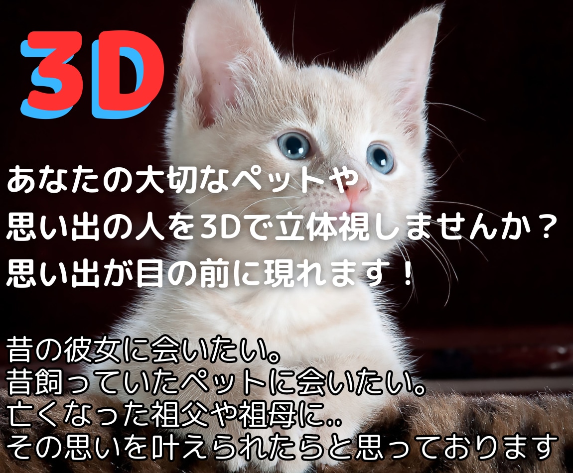 写真を3D写真(サイドバイサイド)に変換します 思い出の写真が３Dで蘇ります！最大10枚まで イメージ1