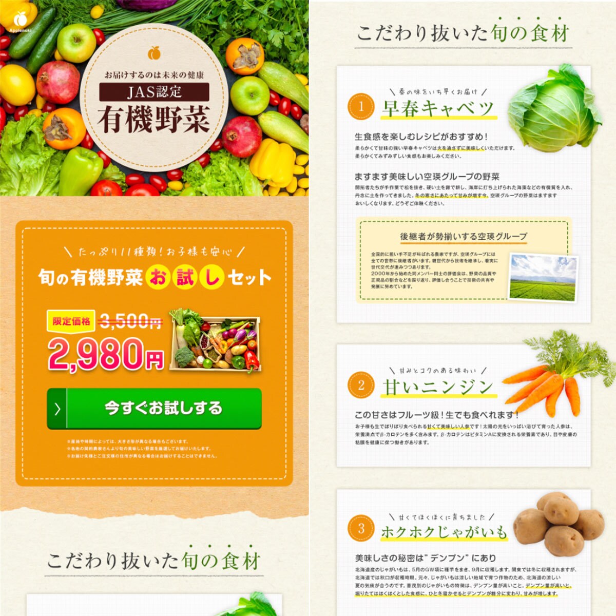先着10名価格！高品質のLPデザインを制作します 【150件以上の制作実績あり】LPのことはお任せください！ イメージ6
