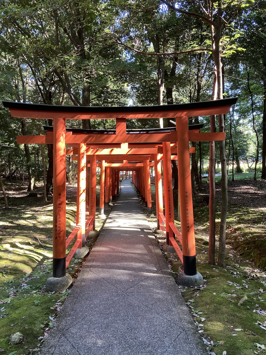 開運画像を販売します 神社やお寺、光、山や川や空、猫の画像で開運のお手伝いします！ イメージ6