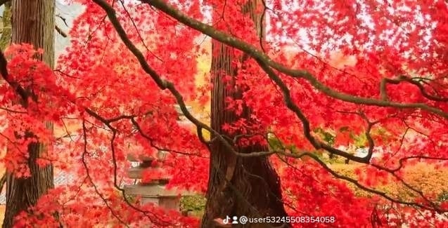 ツインレイ鑑定をします 相手の気持ちや今後の未来を視ていきます イメージ6