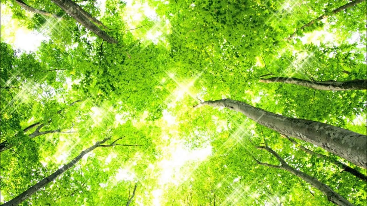 悩み相談承ります 悩みがあるすべての人の力になりたい。 イメージ4