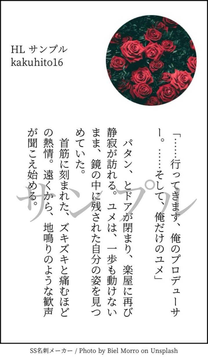 オンリーワンの小説お受けします 夢小説/創作小説など執筆します イメージ4