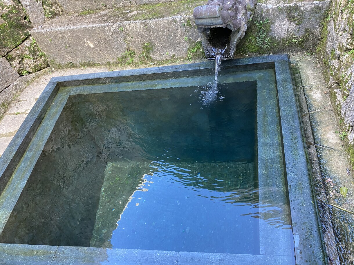 言葉を発するだけで心が癒されます 心が和めば身体も安まる(*´ー｀*) イメージ3