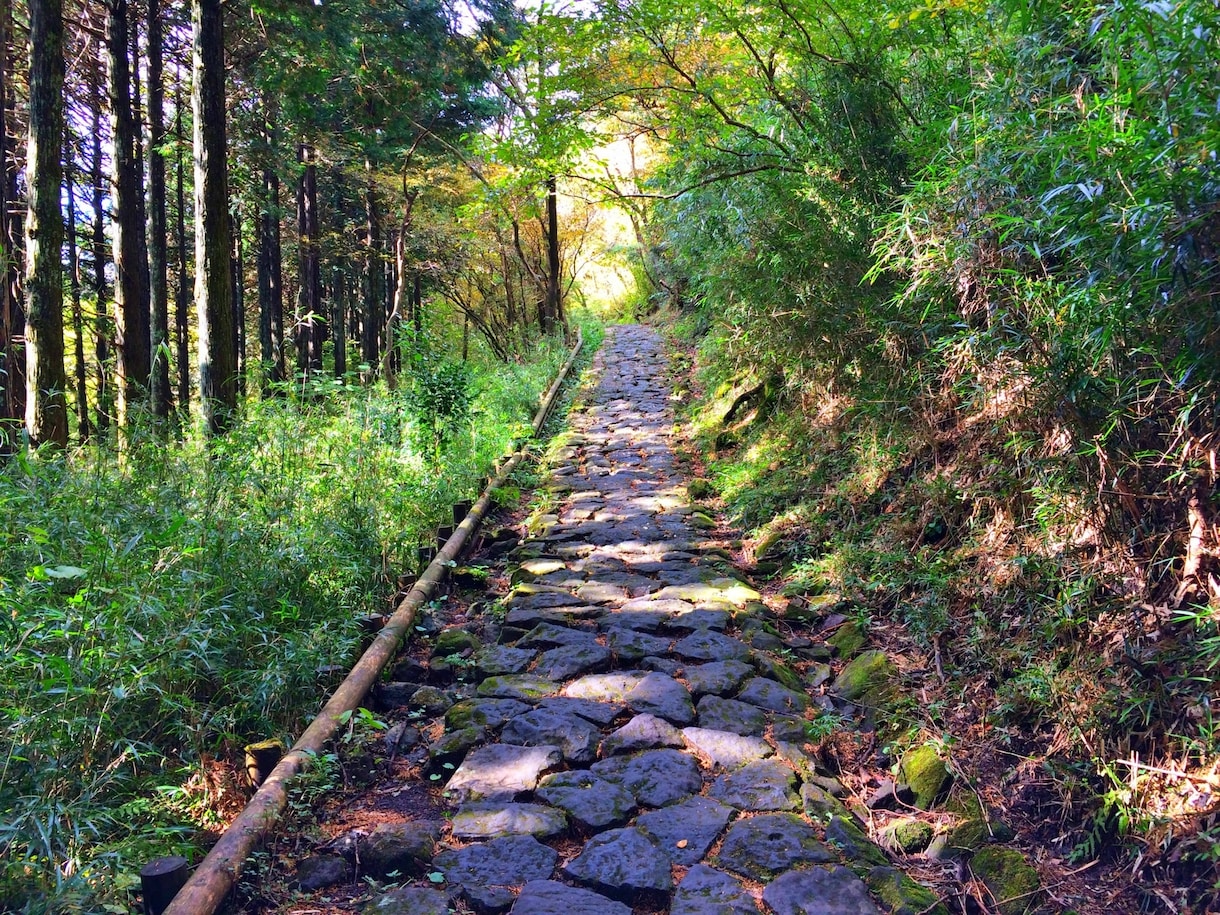 ヒプノセラピーで“あなたのモヤモヤ”解消します 現状をどうにかしたいけど出来ない……そんなあなたを導きます イメージ2