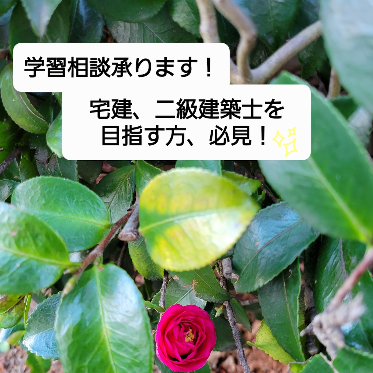 資格勉強の手順や学習方法についてアドバイスします 元ライセンスアドバイザーが相談乗ります！ イメージ1