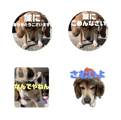 写真からオリジナルLINEスタンプ作成いたします 携帯に眠っている思い出の写真をスタンプにしませんか？ イメージ4