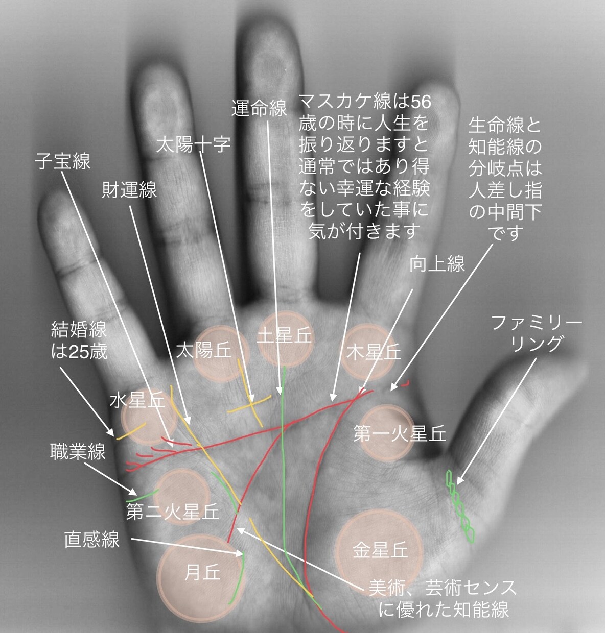 左手専用手相で宿命相を占いますます 先天運生まれ持った不変な宿命ディステニーを占います。 イメージ6