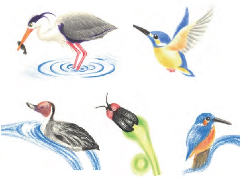 癒し系の動物のイラスト、キャラクター描きます パンフレット、印刷物のワンポイントに。商用利用可 イメージ4