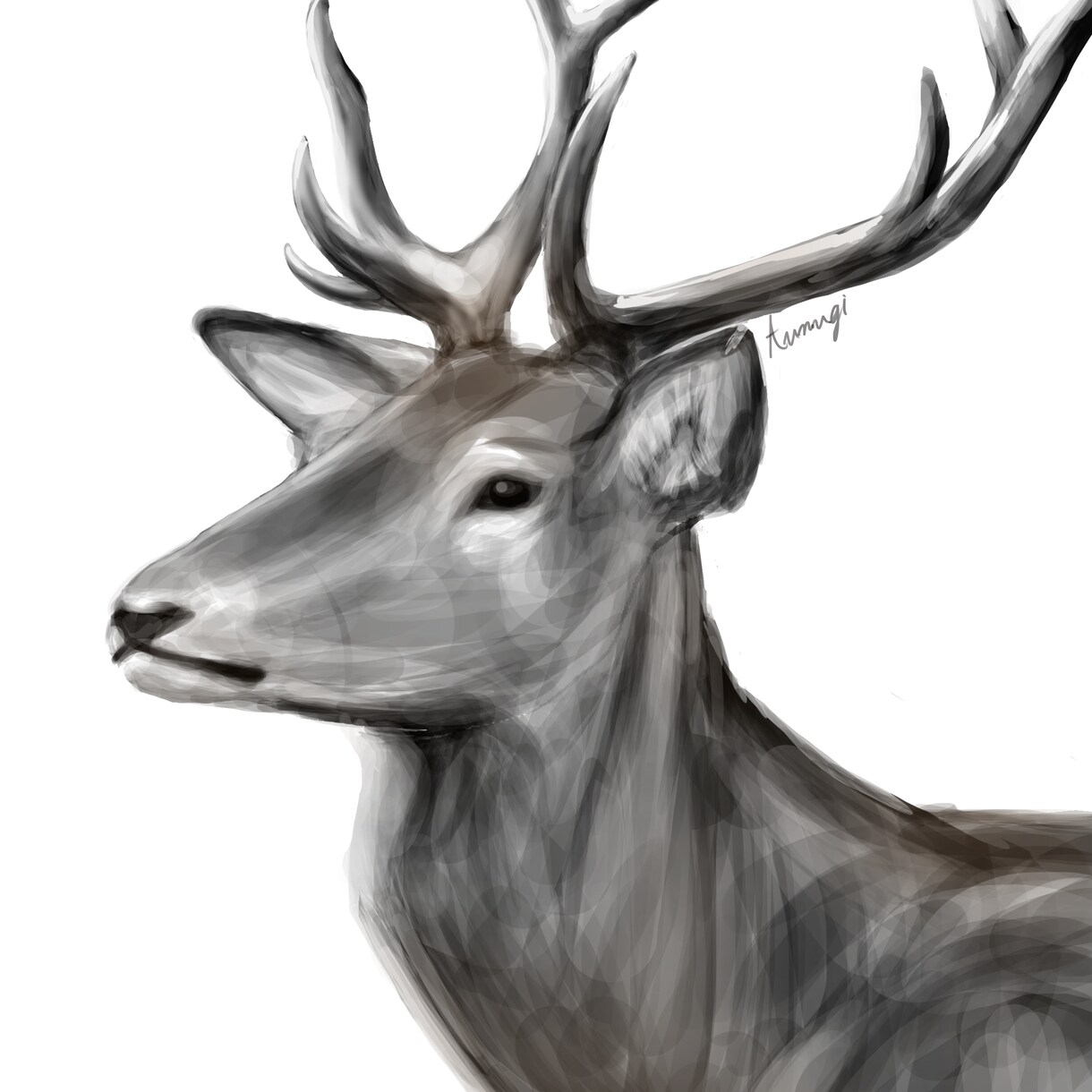 可愛い動物のイラスト描きます 動物のデフォルメやロゴデザインまでお任せください イメージ3