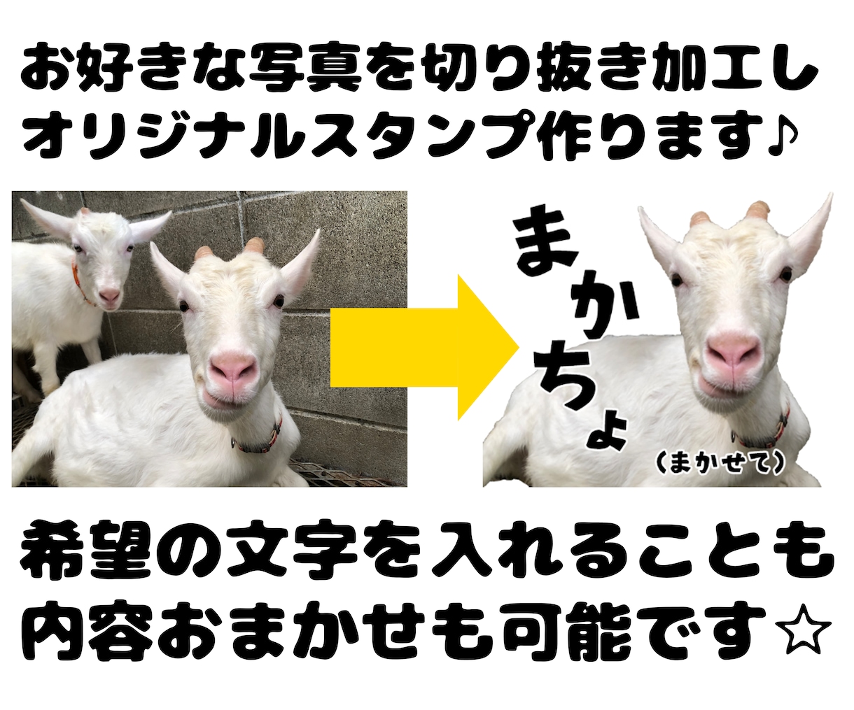 あなたの写真からラインスタンプを作成します ご家族やペットの写真をLINEスタンプにしませんか？ イメージ2