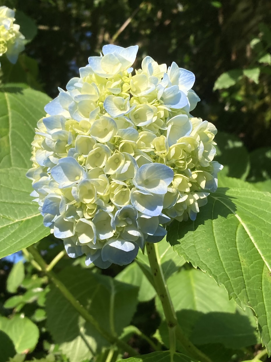 今話したいこと、吐き出したいことお聞きします すっきりしたいあなたの心の整理お手伝いします イメージ2