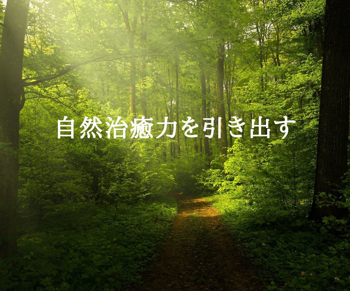 あなたの魂が望む未来へやさしくエネルギーを整えます 本来の自分とつながり、未来への意図を育てる イメージ5