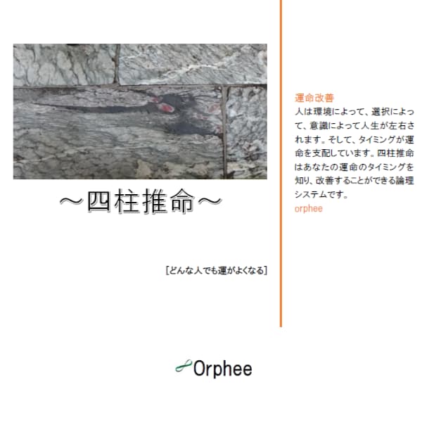 自動で命式作成！四柱推命Excelソフト販売します 蔵干、日干エネルギー・行運の判断要素等がカスタマイズ可能！ イメージ10