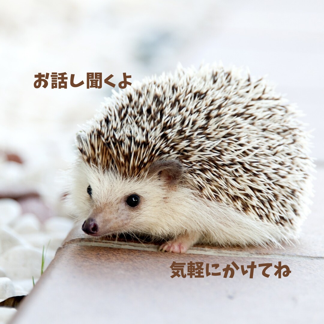 恋人のうつ病に寄り添う方法アドバイスします 恋人がうつ病で悩んでいる方のお話をお聞きします。 イメージ9