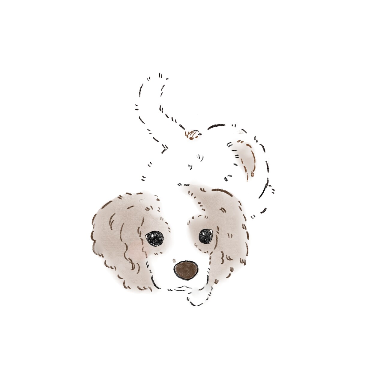 可愛いシンプルなイラストをかきます 鉛筆タッチの柔らかいイラストを作成させていただきます イメージ6