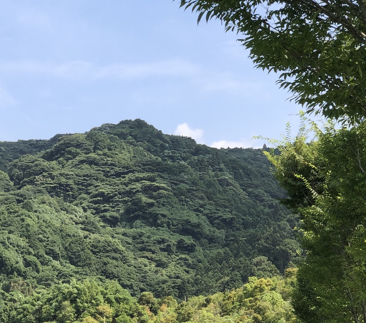セックスレス解消に向けてお手伝い致します 8月まで限定。もう一度夫婦仲良くやっていきませんか？ イメージ1