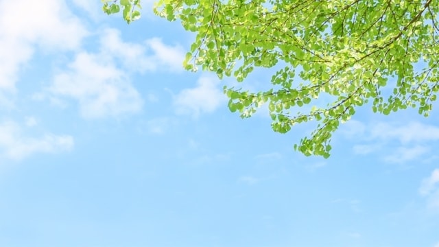 死別で悲しみの中にいるあなたに寄り添います ～まずはその辛さを吐き出して下さい～　グリーフケア　別れ イメージ3