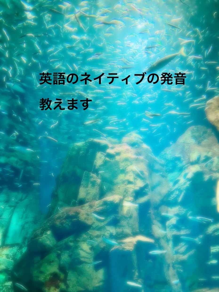 発音に不安な方の発音指導します よりネイティブな発音をマスターしましょう！ イメージ1
