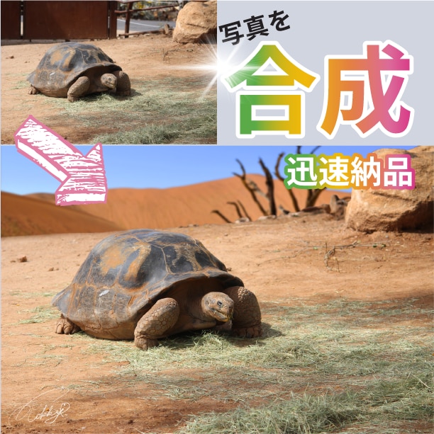 色んなテイストで背景と人・物を自然に合成します 「スタジオ撮影」「モデル着用例」「ファンタジー」合成で実現 イメージ3
