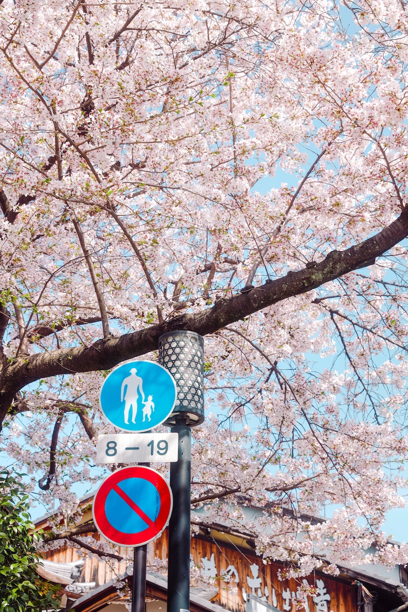 初心者から中級者へ写真の技術を教えます 写真に関する悩みや相談をお聞きして、アドバイスします。 イメージ7