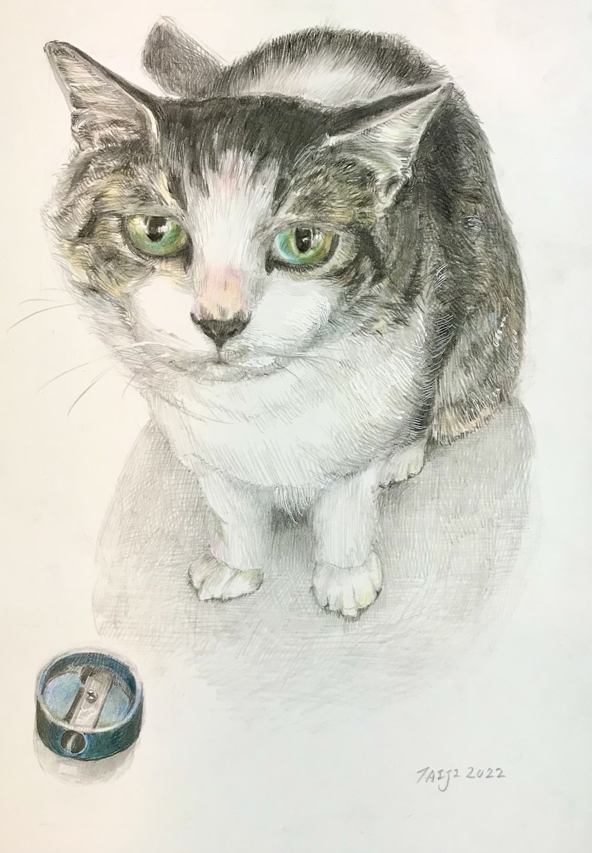 雰囲気のある直筆の絵を制作します 希望される方は絵を発送いたします。(送料別) イメージ9