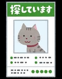 ペット探し占いいたします いなくなったあなたのペットの行方を占いで探していきます イメージ3