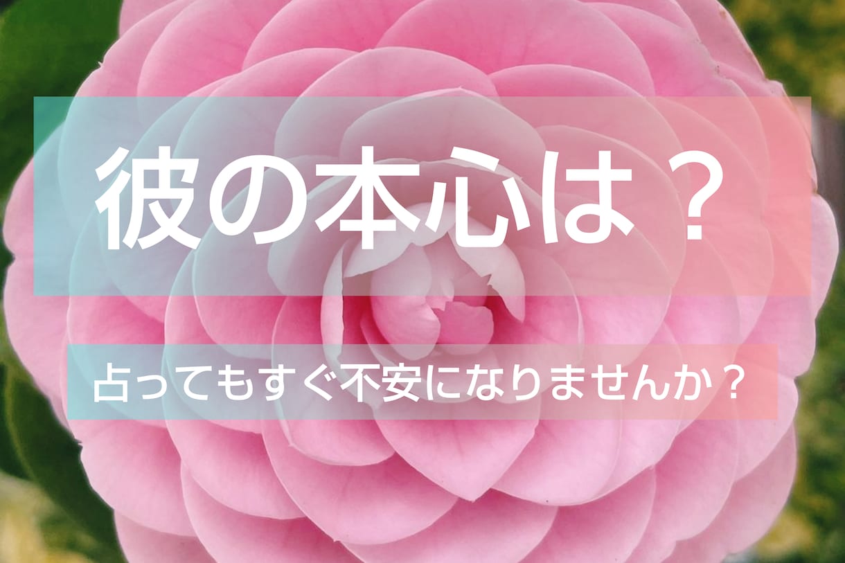 既婚彼があなたに本気かどうか鑑定します 不倫、既婚者同士の恋、彼の本気度、離婚の可能性鑑定します。 イメージ1