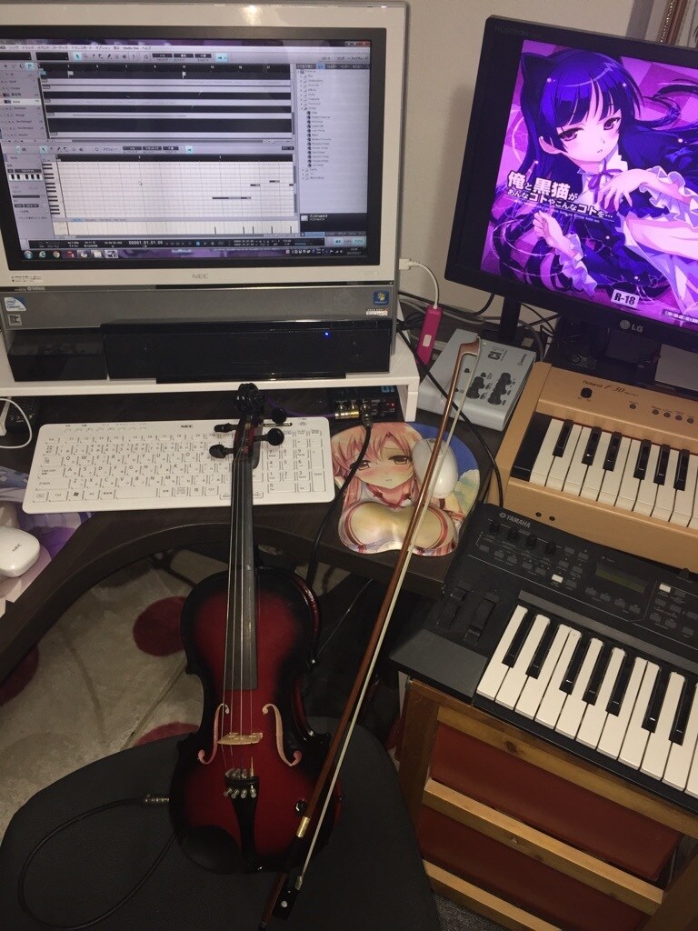 あなたの楽曲にバイオリンを乗せます オリジナル曲にバイオリンの生演奏を入れたい方へ イメージ1