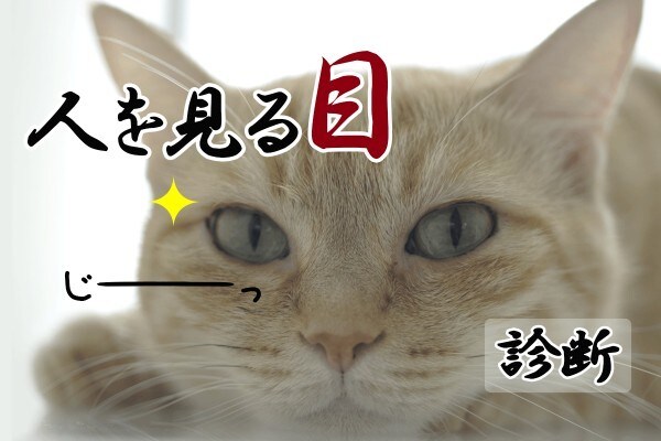 何名でもOKです。採用業務をお手伝いいたします 業種職種問わず、貴社貴店の採用担当として動きます！ イメージ3