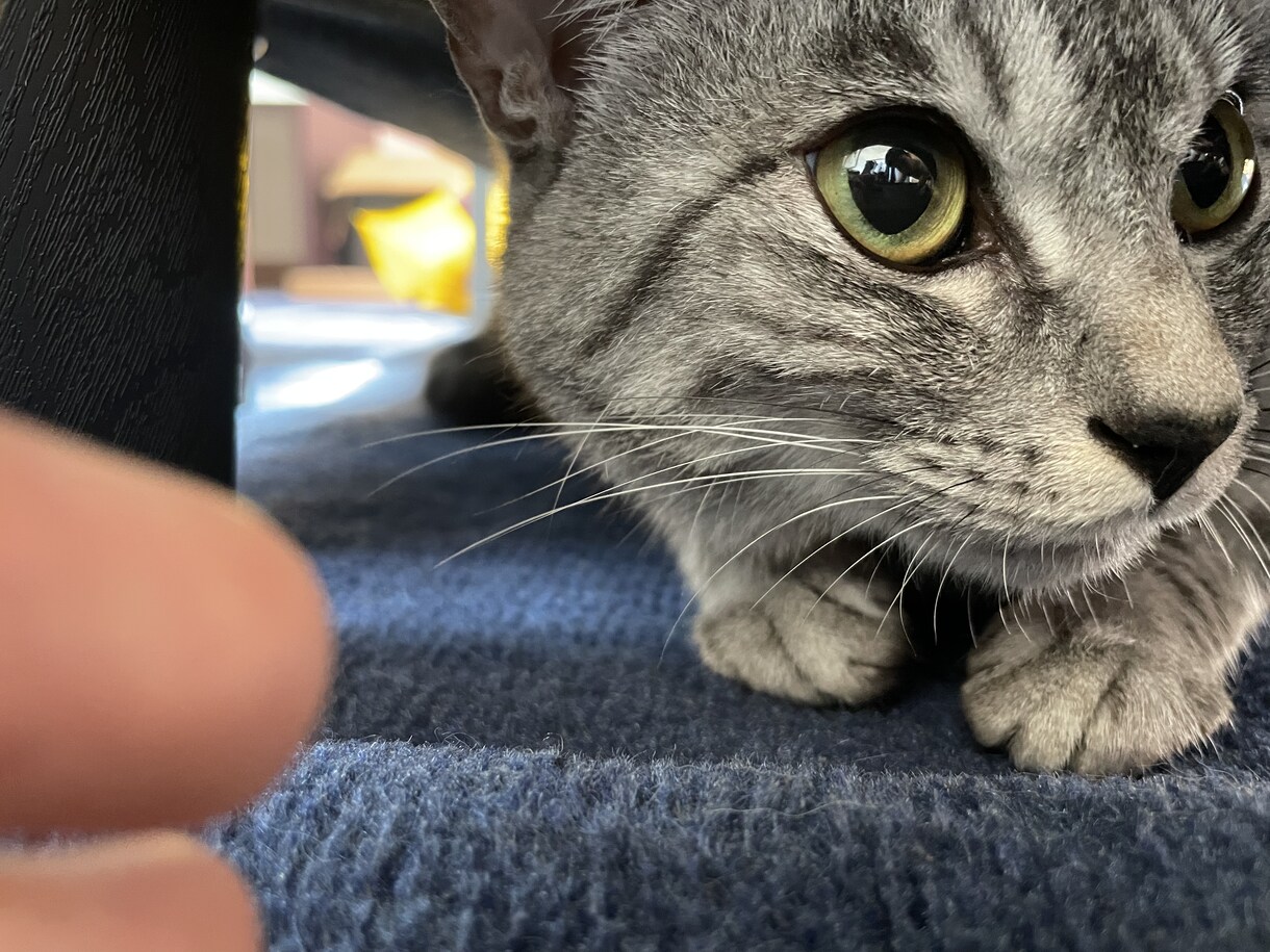 競艇激アツ予想お届けします 展示80パー、データは補填程度で使用してます！ イメージ1