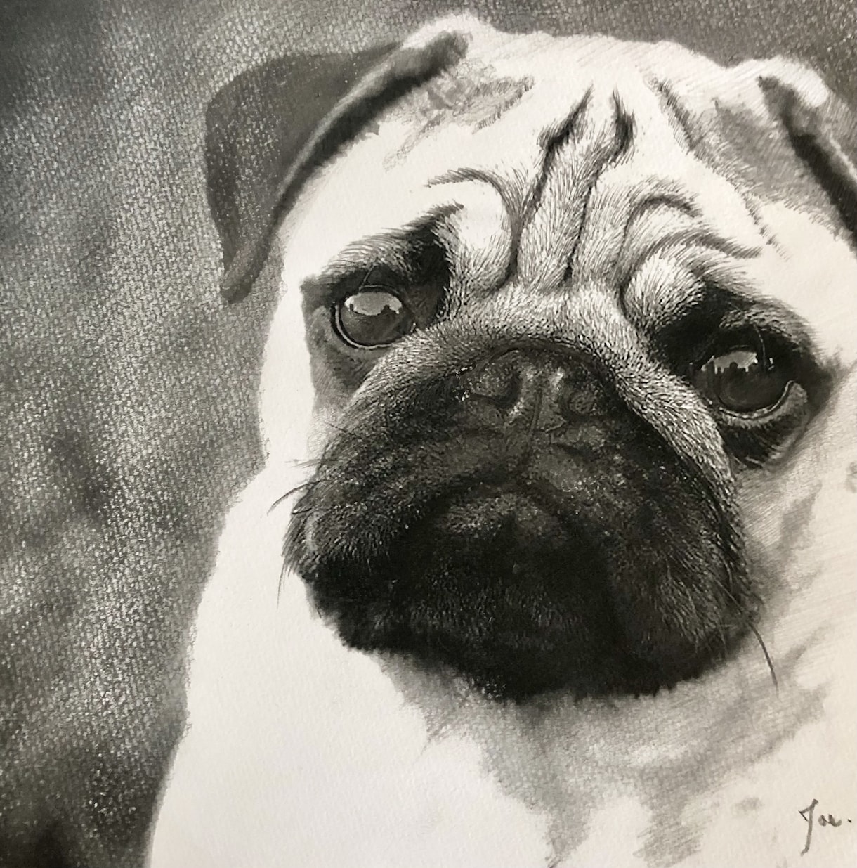 リアルなペットの似顔絵を鉛筆画で丁寧に描きます 写真より臨場感のある鉛筆画を、記念や思い出としていかがですか イメージ2
