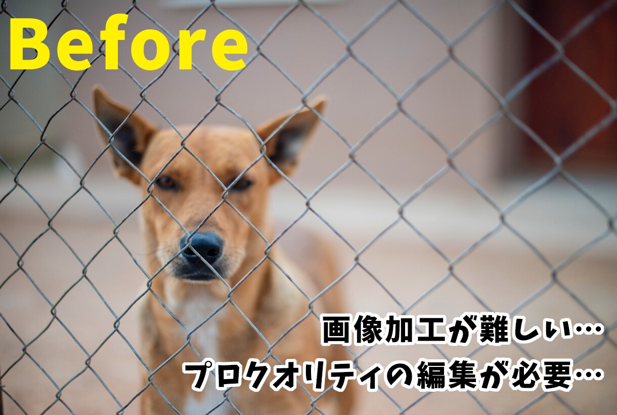 最安値！即日納品OK！プロが写真・画像加工致します 切り抜き・合成何でもOK♪他ではマネできない画像を作成可能♪ イメージ3