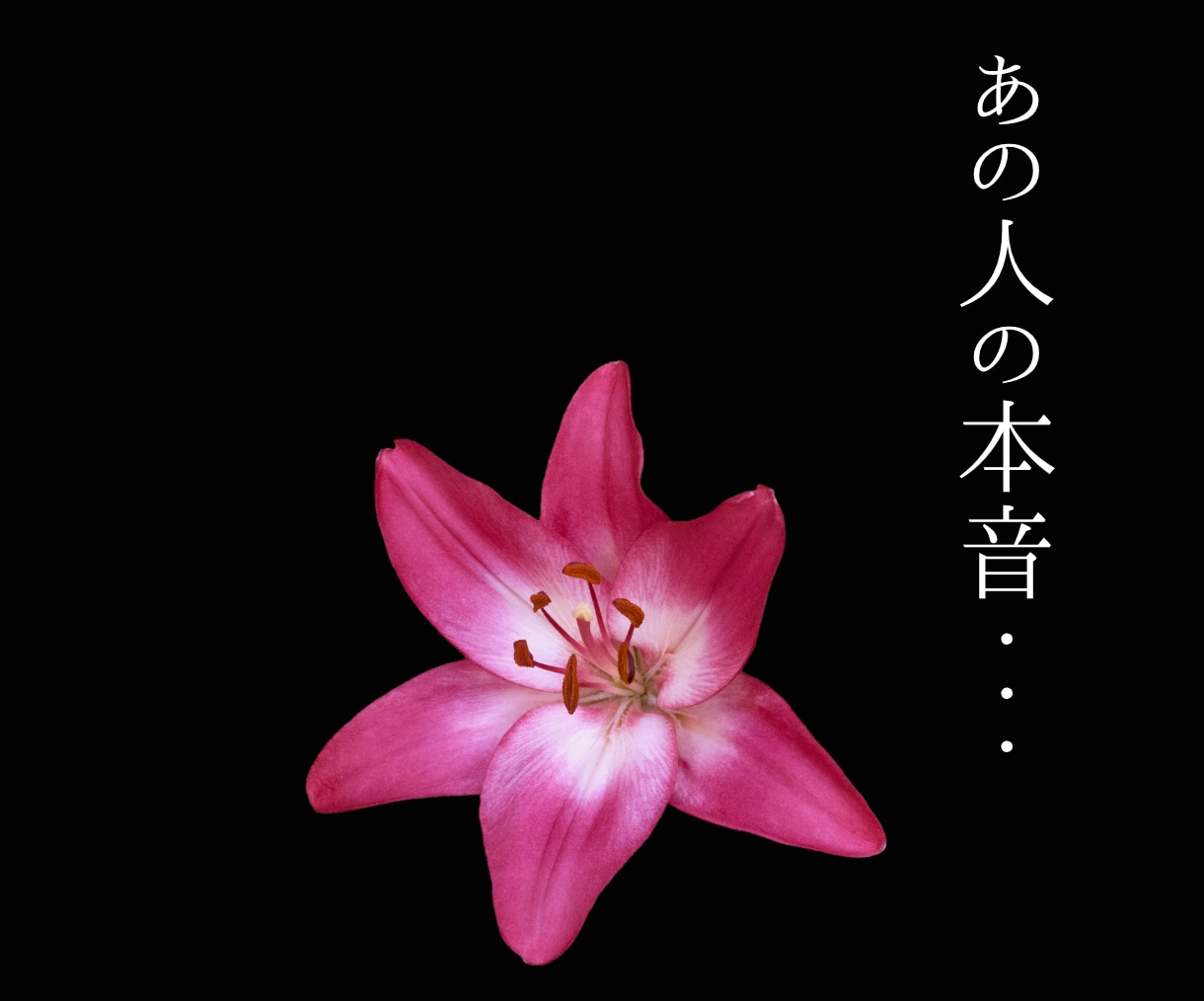 あの人が隠し持つ全本心タロット鑑定します 淡々と、嘘偽りなく。あの人の本音と二人の結末を、事実のみ イメージ1