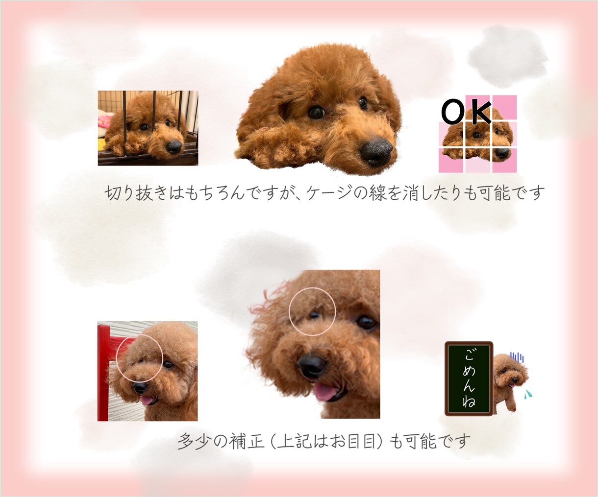 LINEフォトスタンプ作成します プレゼントにも！ペットやお子さんの写真をLINEスタンプに イメージ3