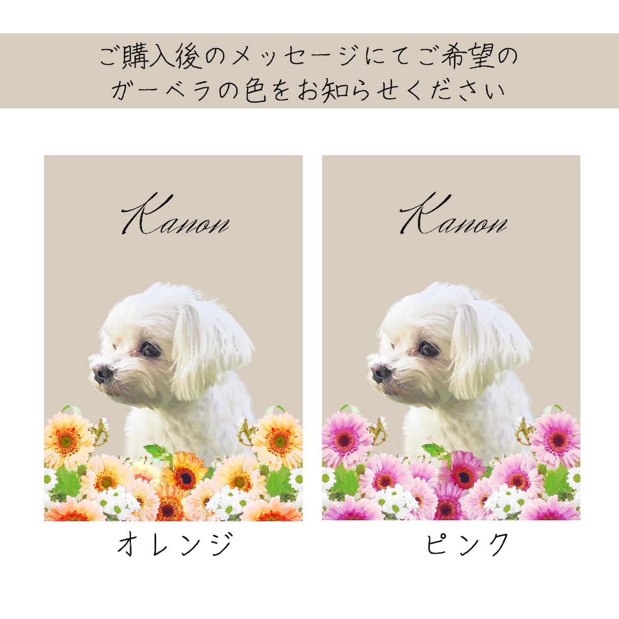 ガーベラペット似顔絵｜額縁可｜お急ぎ可でございます 猫・犬・うさぎ等リアルで華やかなペットイラスト｜ラッピング可 イメージ4