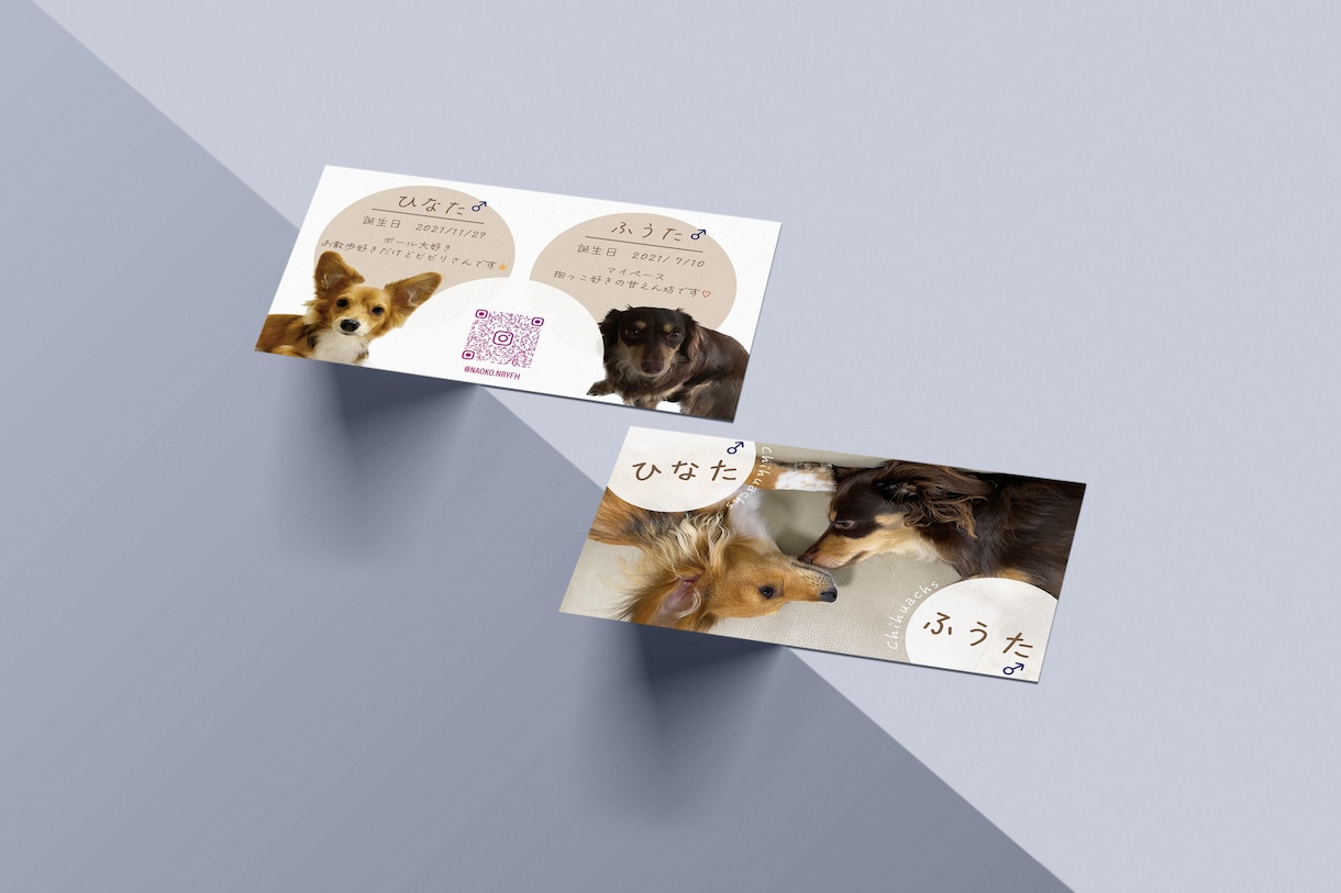 かわいいうちの子名刺カードお作りします かわいい愛犬の自己紹介カードをお作りします！ イメージ4