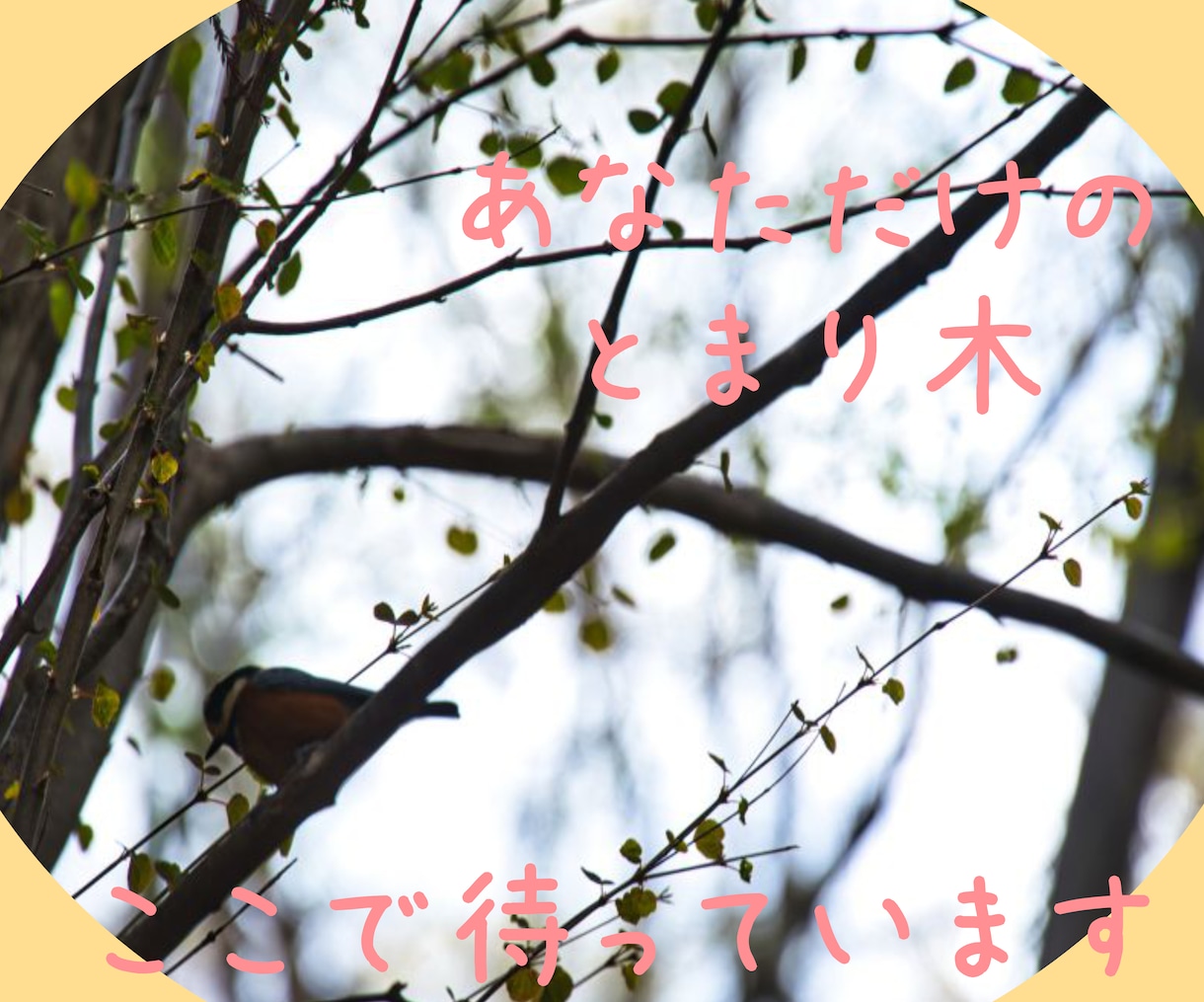 新規限定✿あなた想いとお悩みにそっと寄りそいます /心身の不安/人間関係/恋愛/家庭問題/HSP/愚痴/雑談 イメージ6