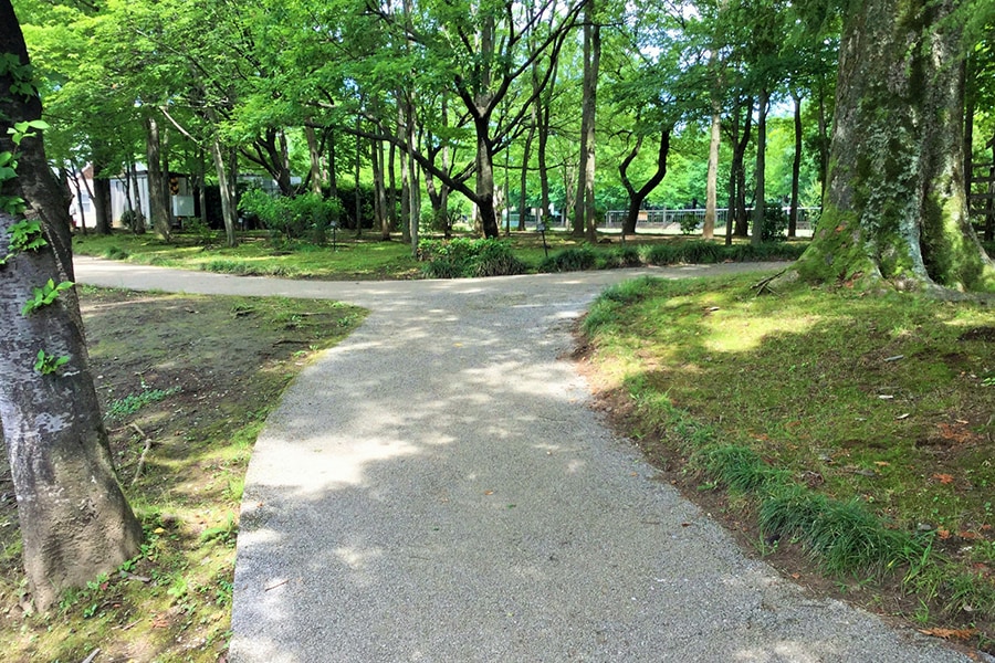 離婚する？しない？真に望む方向へ背中を押します 私、間違ってないよね？そんな不安を消し、進みましょう イメージ1