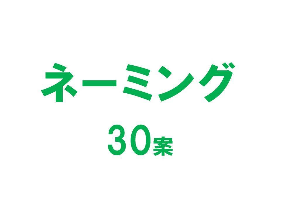 高品質な【ネーミング３０案】書きます プロコピーライターが効果的な３０案をたった２日でお届けする イメージ1