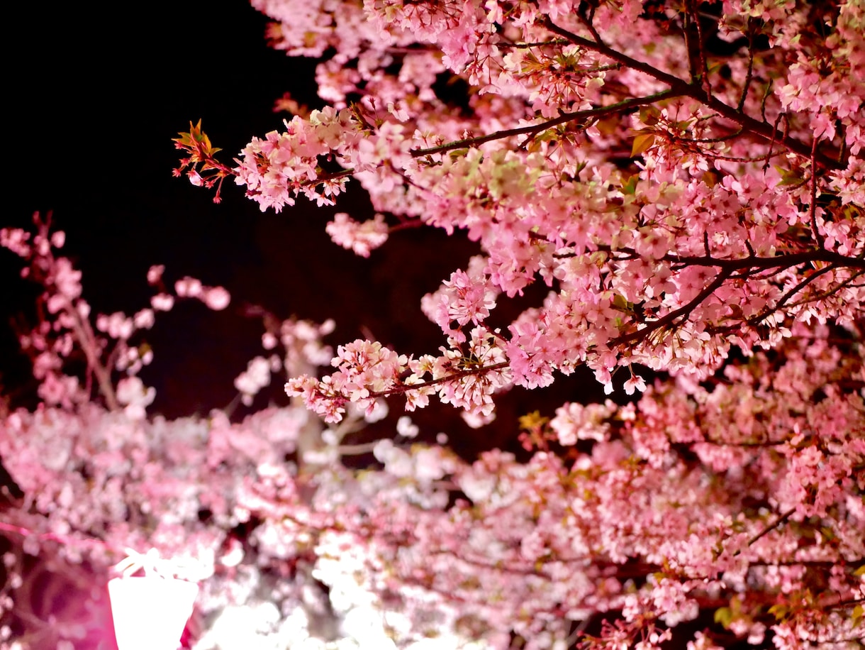 様々な風景の写真を提供致します ニーズにあった写真を提供致します。 イメージ5