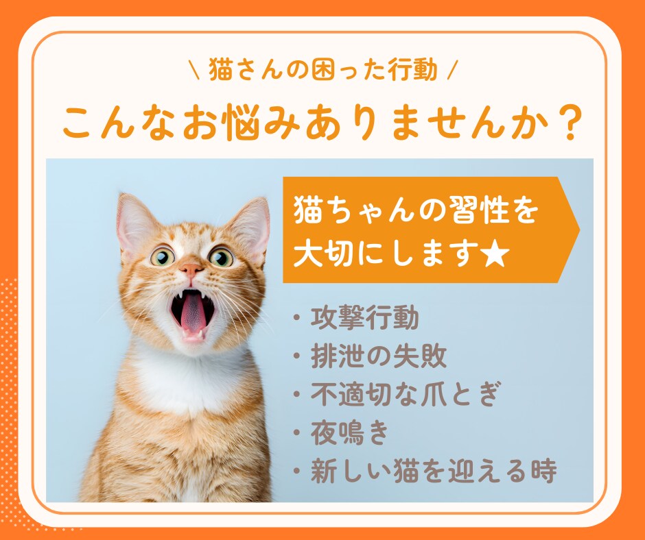 行動専門獣医師が猫の"困った行動"を解決します ★出品記念の為、初回3名まで最低価格でお受けします★ イメージ5