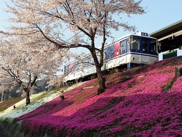 動画編集やります 簡単な動画編集を最短3日でやります。 イメージ1