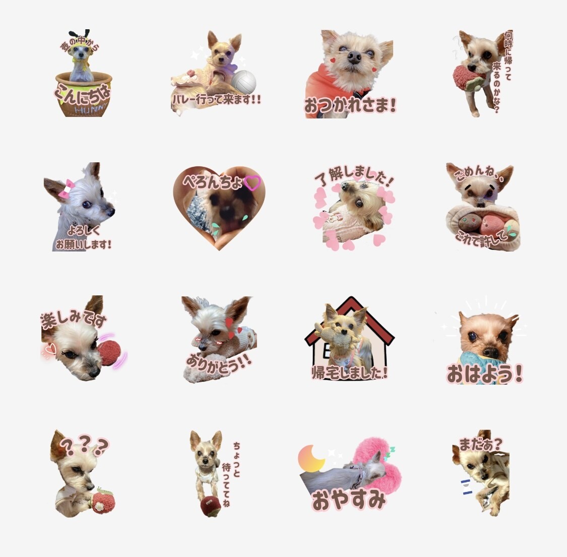愛犬、愛猫など【写真】LINEスタンプ作ります 明るくポップなデザインで可愛さ演出！！ イメージ2