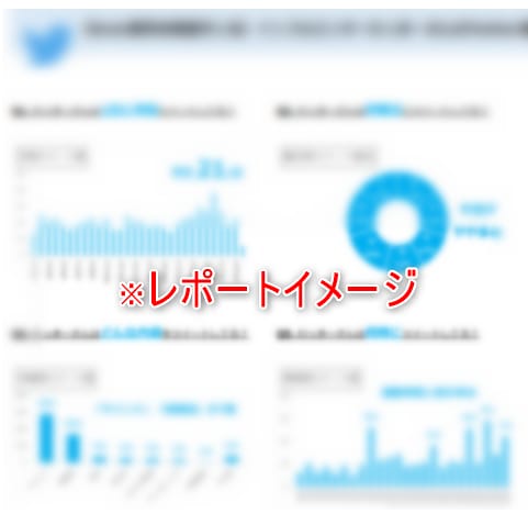 大手IT企業のデータアナリストがデータ分析します 新規ECサイトから6000万人規模のメディアまで分析経験あり イメージ2
