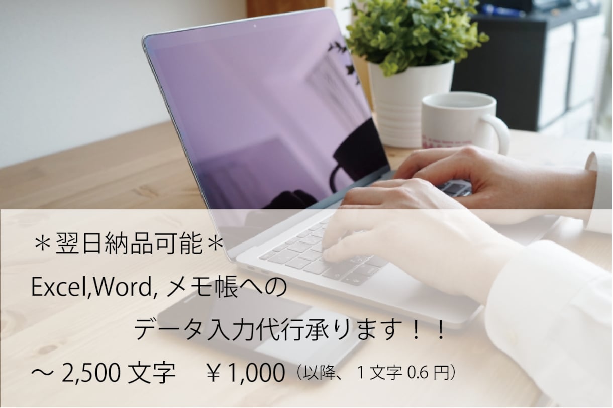 データ入力（Excel,Word等）承ります 翌日納品可能です。早く丁寧に正確に作成していきます。 イメージ1