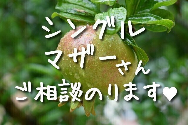 気を張るシングルマザーさんを応援！悩みお聞きします 子どもの勉強、悩める心の内の相談事 イメージ1